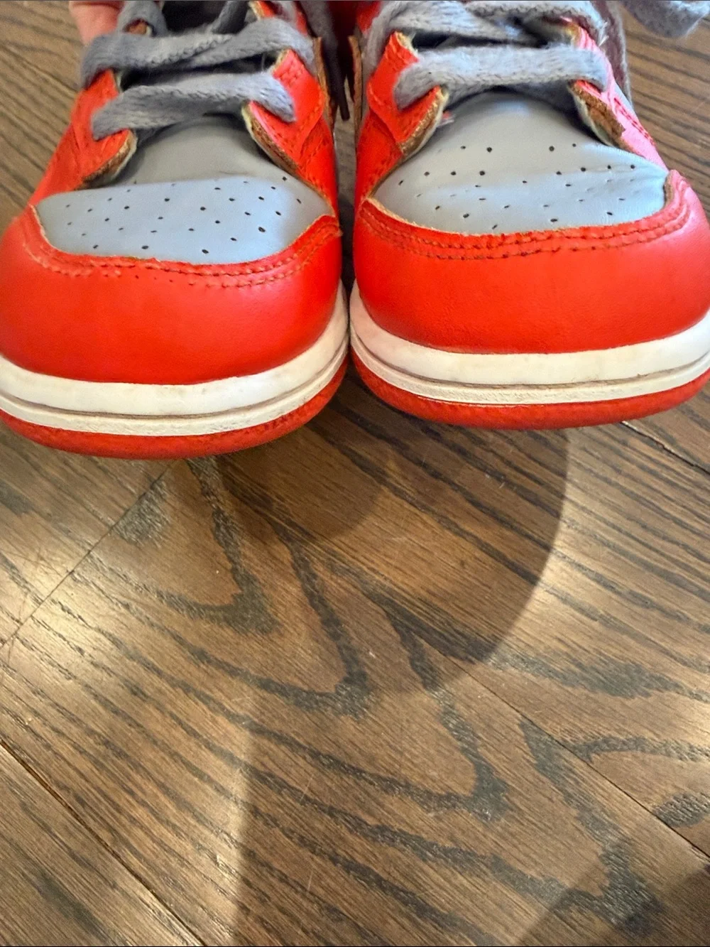 Nike Dunks Kids Orange and Gray Lace-Up Sneakers